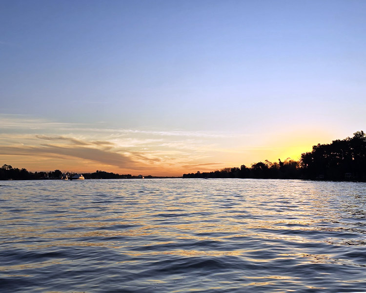 TIGRE DELTA & SAN ISIDRO TOUR