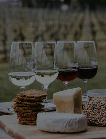 WINE TASTING EXPERIENCE